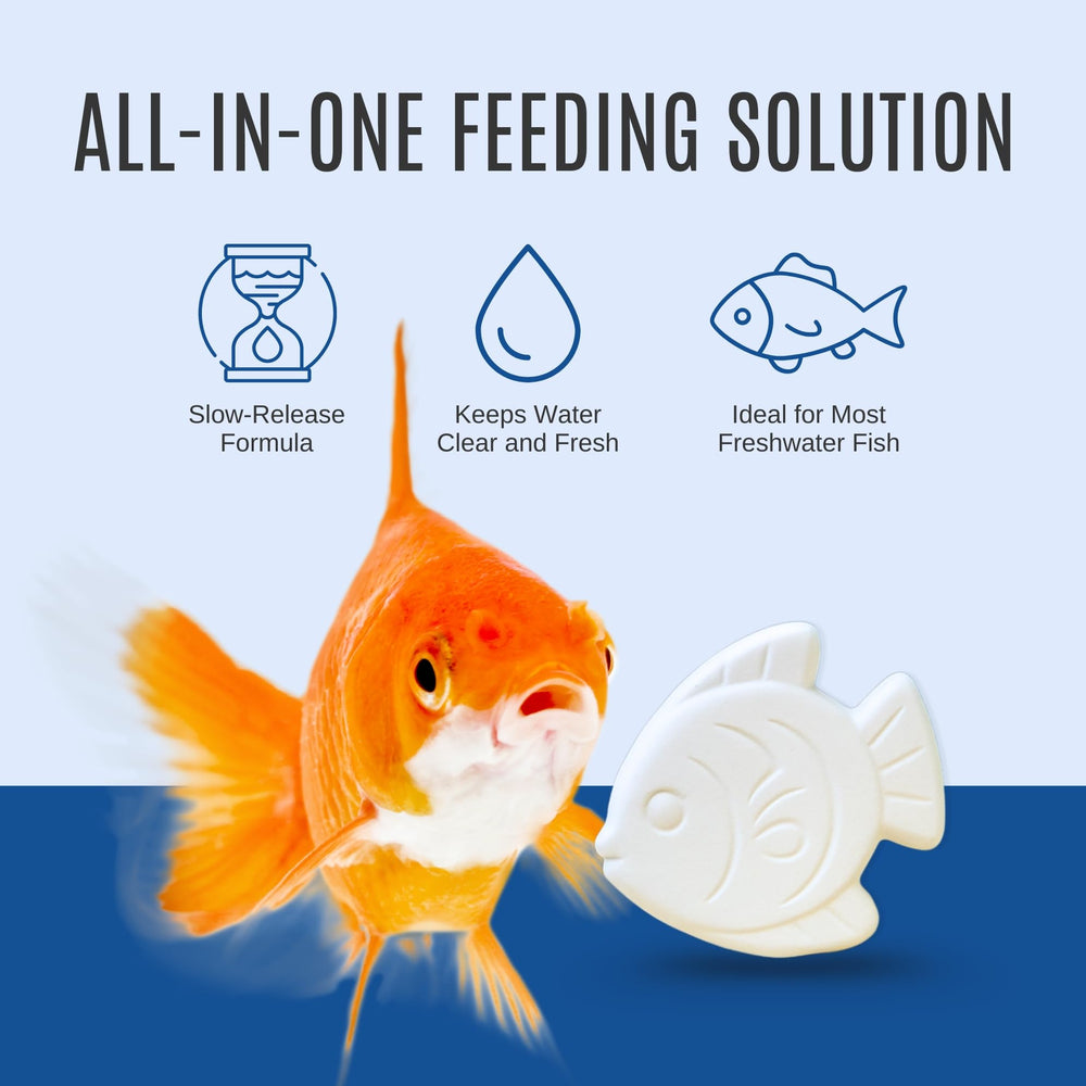 Atlantic Rush Vacation Feeder in aquarium demonstrates easy, no-power setup.