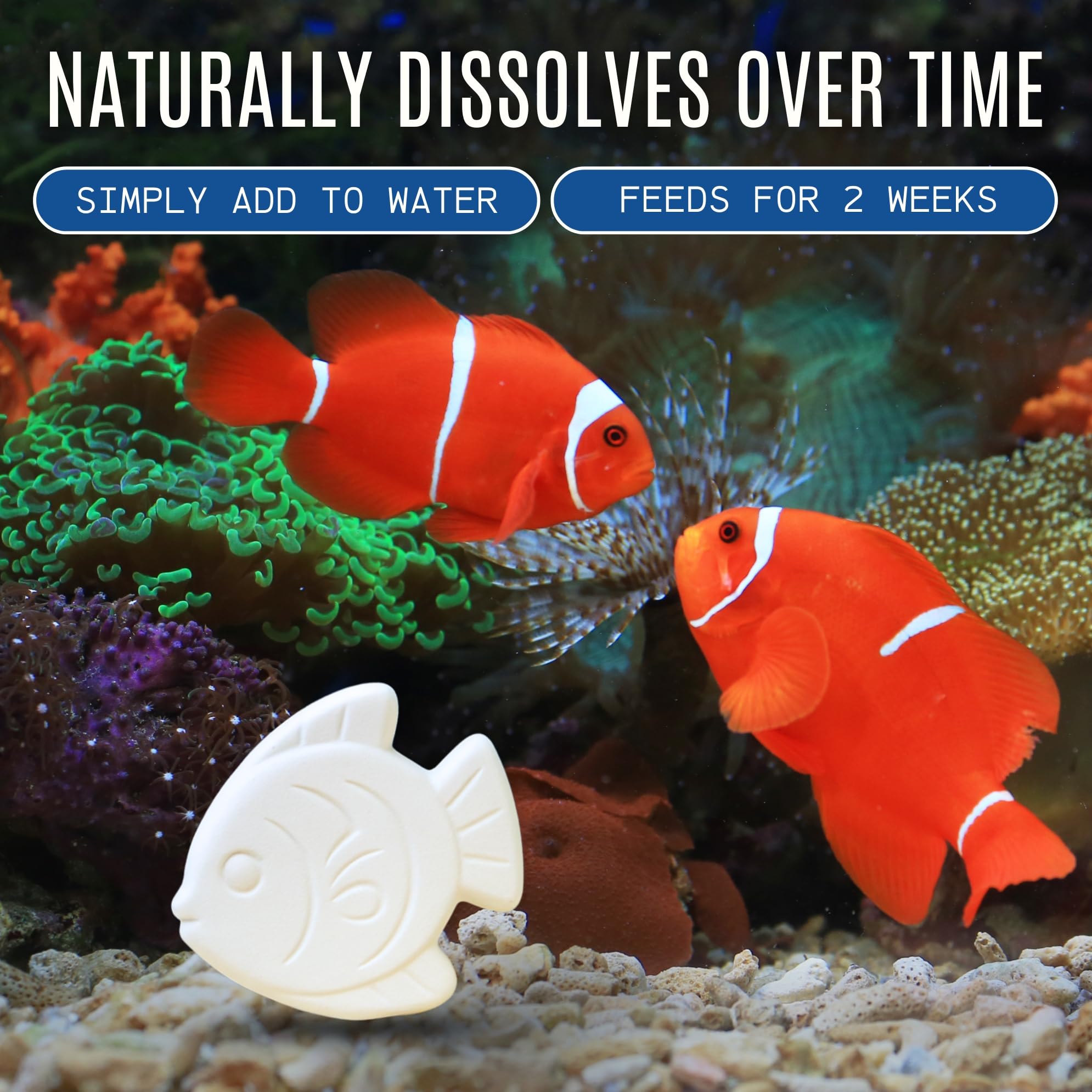 Atlantic Rush Vacation Feeder packaging highlights two-block design.