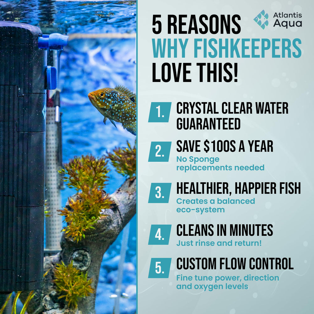 Atlantis Aqua filter assembly close-up shows durable sponge and seals for long-lasting filtration.