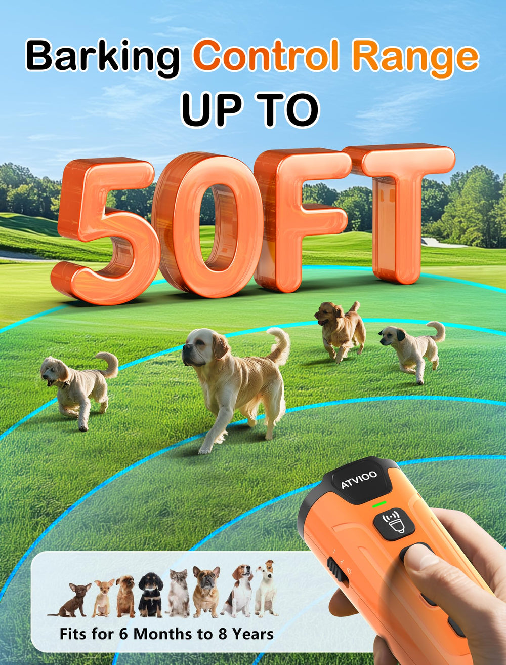 ATVIOO 50ft range in action demonstrates quick humane interruption of barking