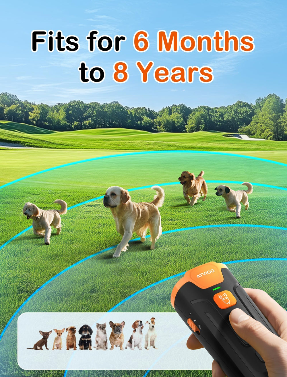 ATVIOO dog-training bark deterrent with LED flashlight aids safe nighttime walks.
