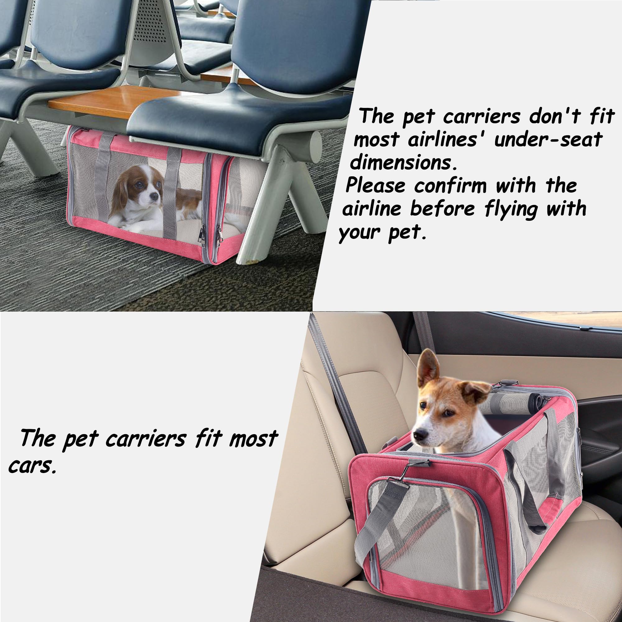 Atvobiy cat-dog carrier airline check helps verify airline requirements