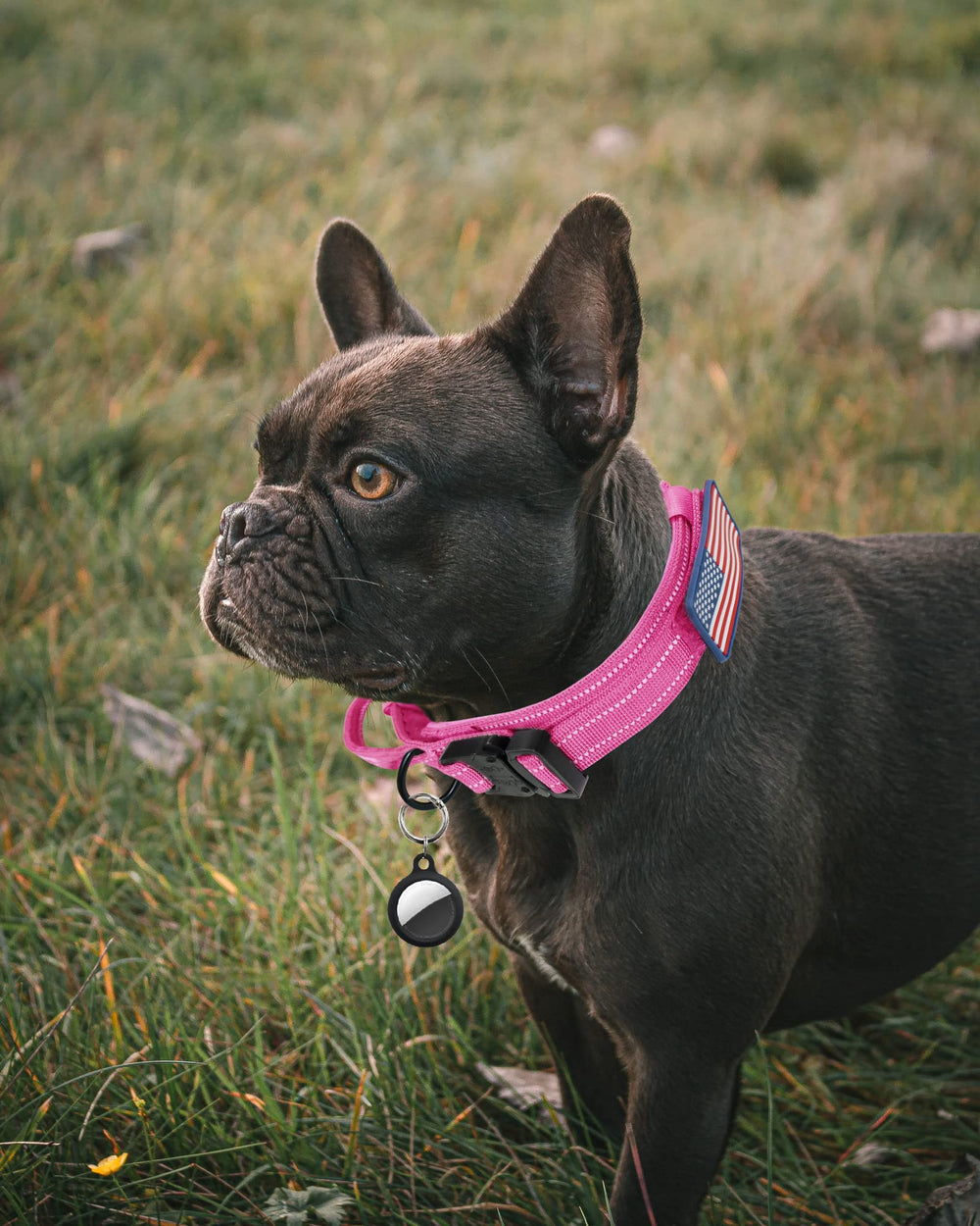 AUBELL Airtag case on collar protecting tracker during walks