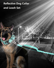 AUBELL Airtags holder keeps trackers protected while letting you locate your dog.