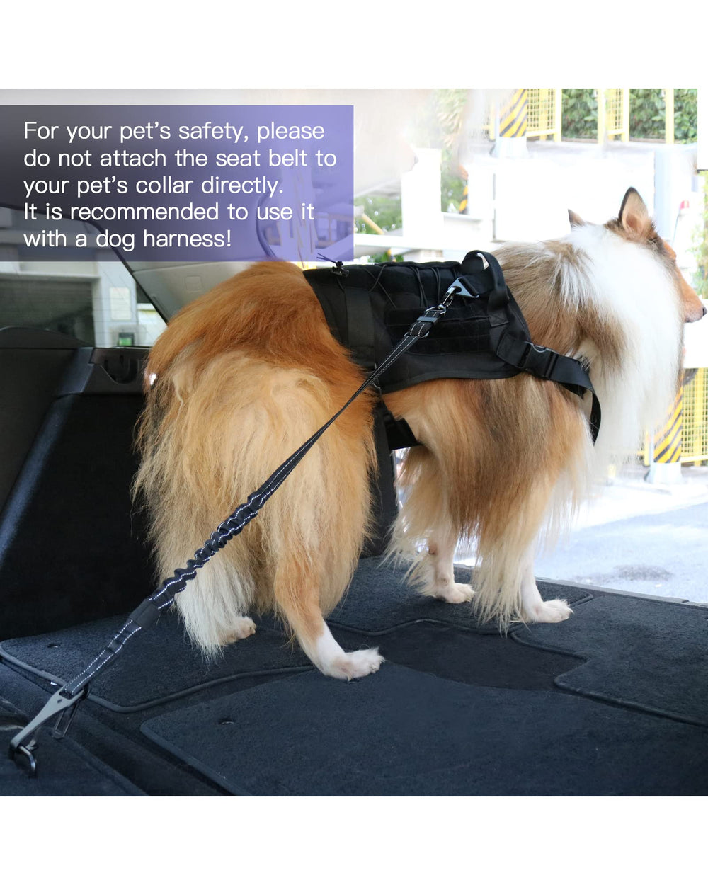 AUBELL dog seat belt with reflective accents improves visibility during evening drives.