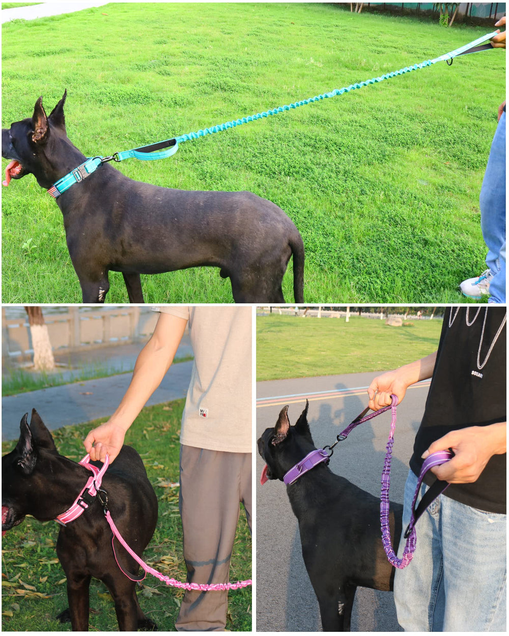 AUBELL patches and name tag options personalize the durable collar.