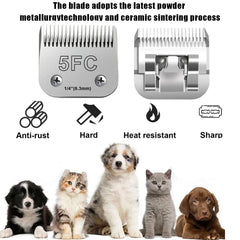 Audoc blades close-up edge #10 shows sharp cut precision
