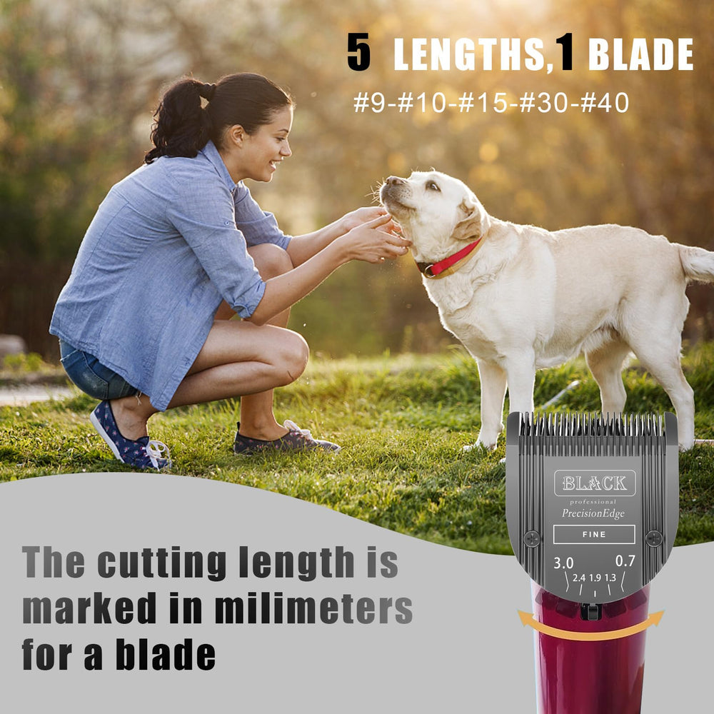 Audoc durable design supports frequent grooming without compromising performance