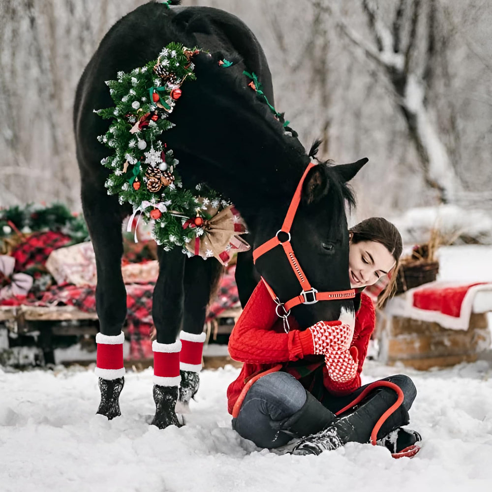 AUECOOME parade-ready red leg wraps on a horse for holiday photos.
