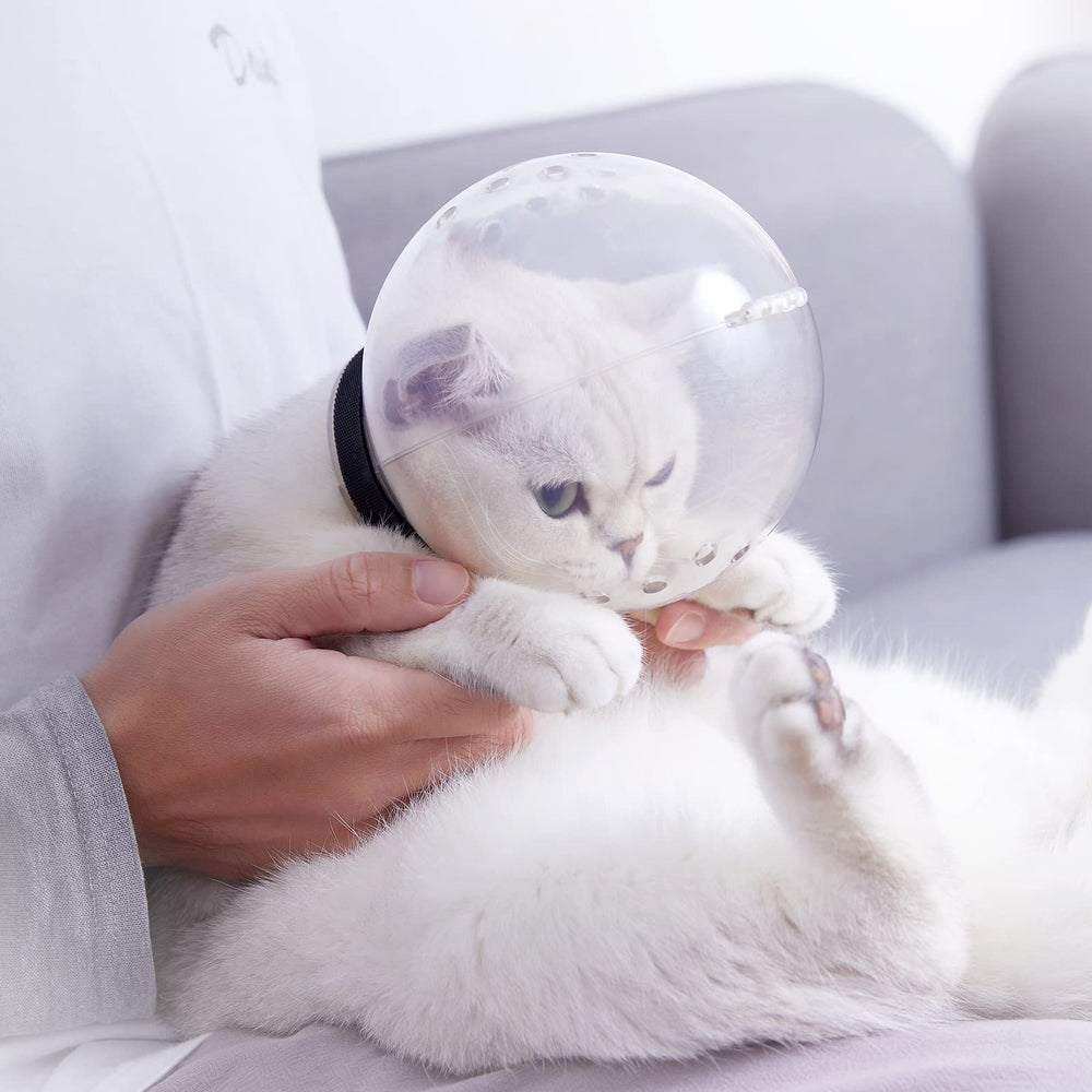 Augegel muzzle used during vet visits for safe handling