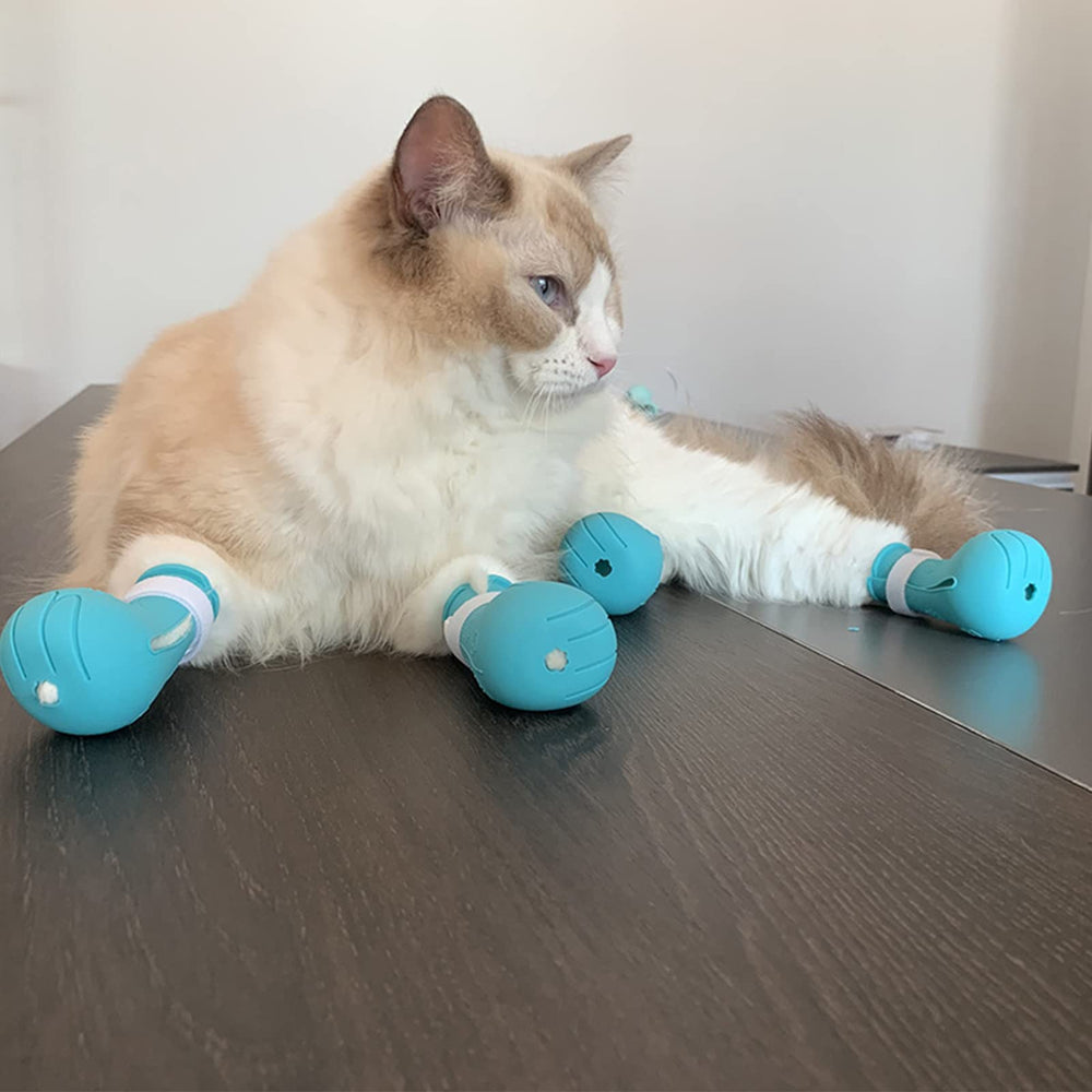 Augegel ABS and silicone materials ensure durable pet restraints