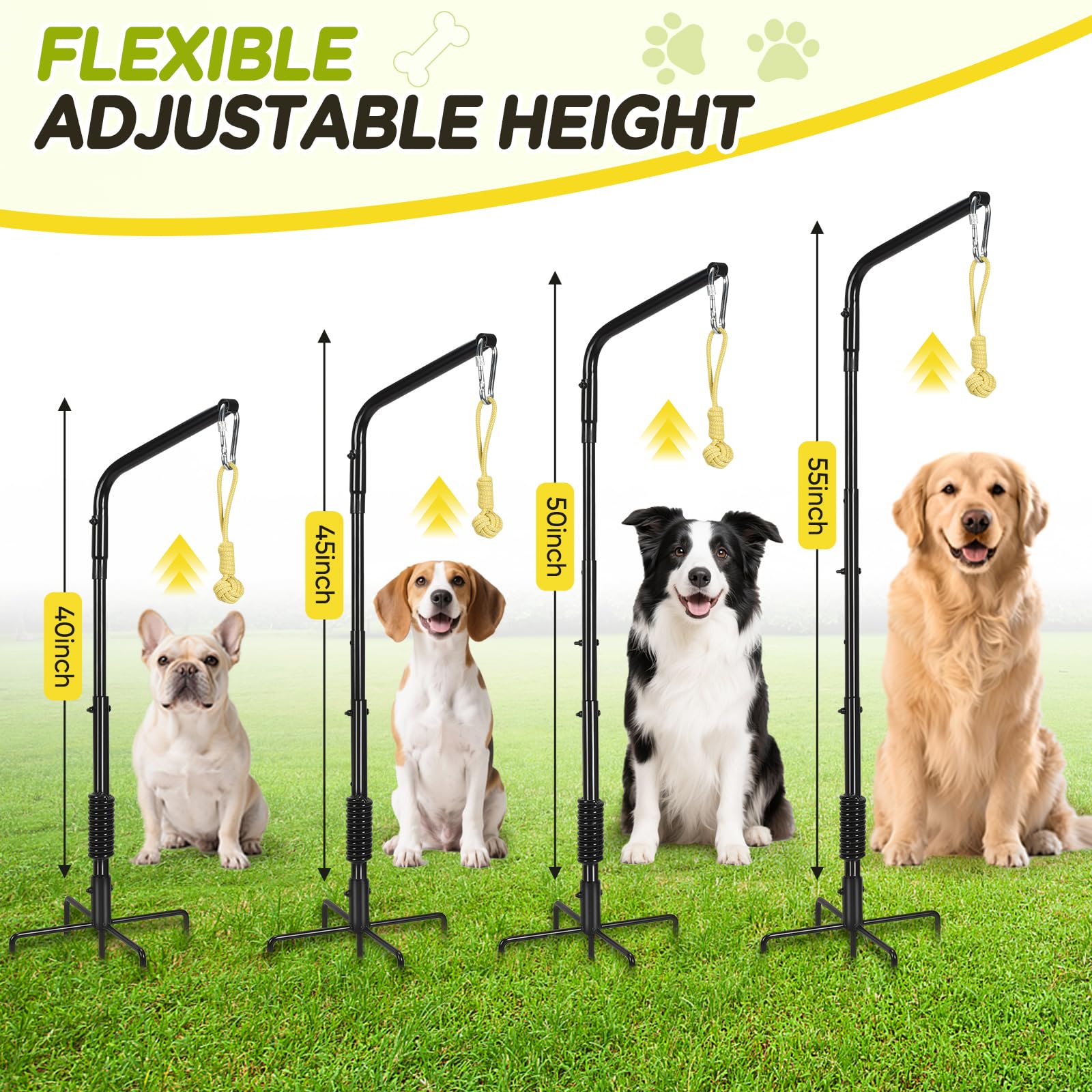 AugFir Tether height adjustment 15-to-55in highlights dog-size versatility and custom fit.