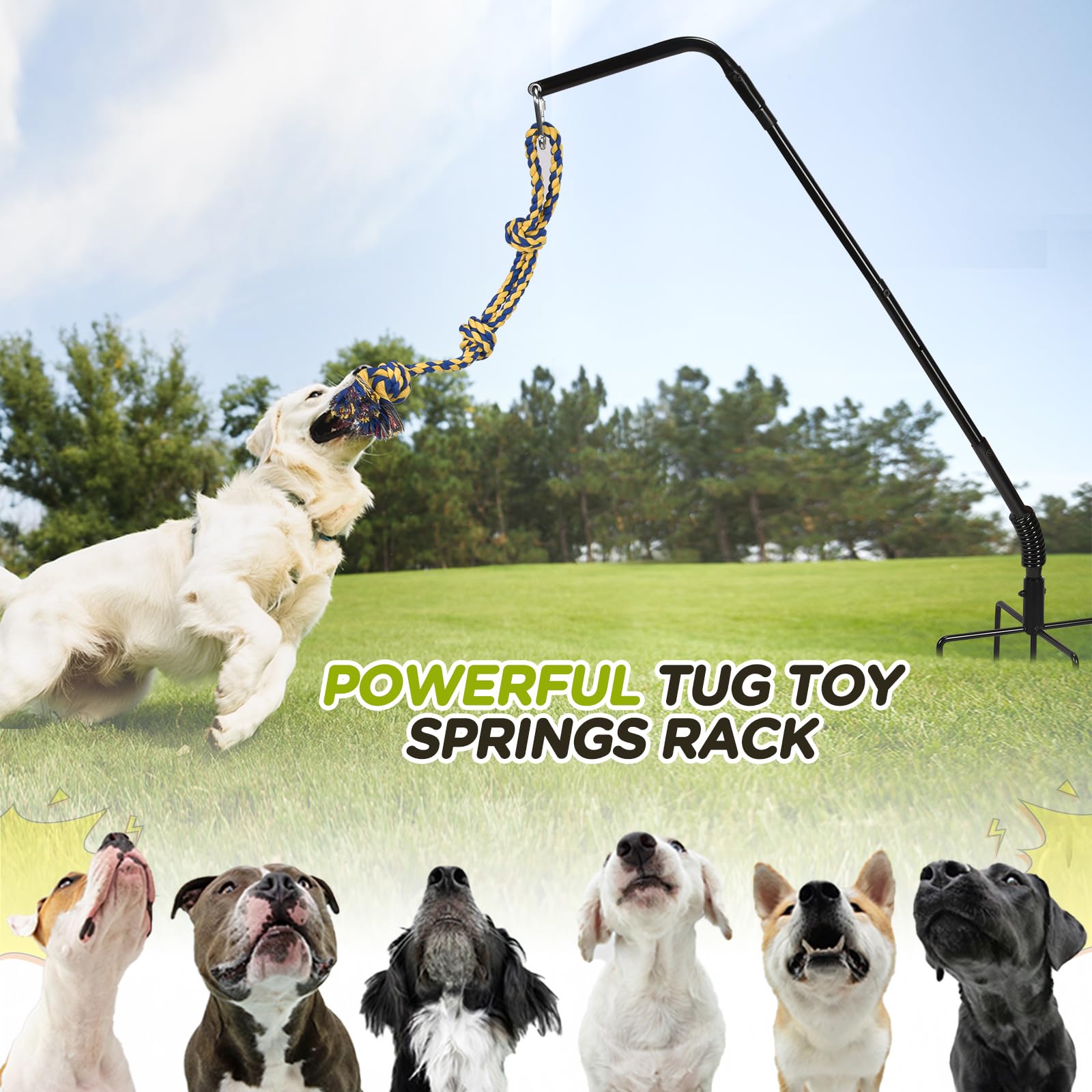 AugFir Tether yard-use-ready image illustrates quick backyard installation.