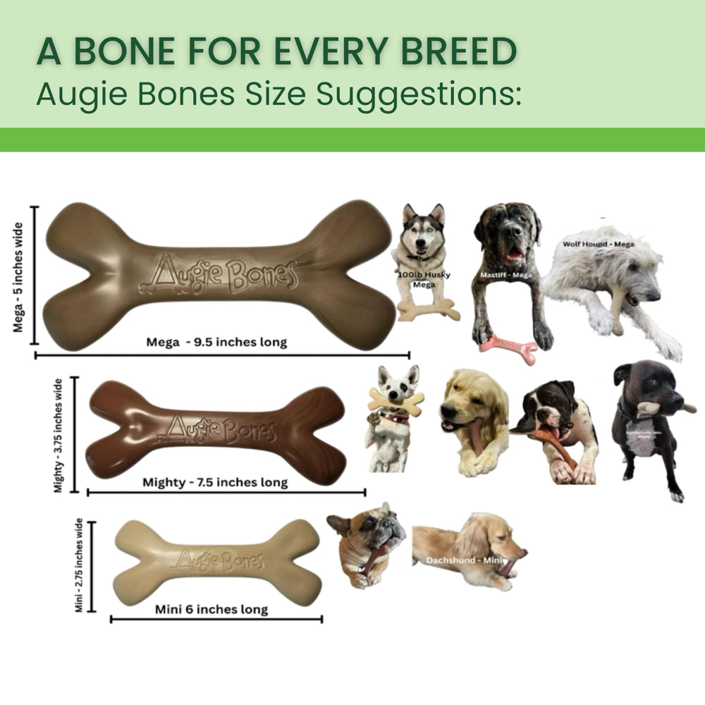 Augie Bones beef-flavored bone bite highlights irresistible flavor for extended sessions