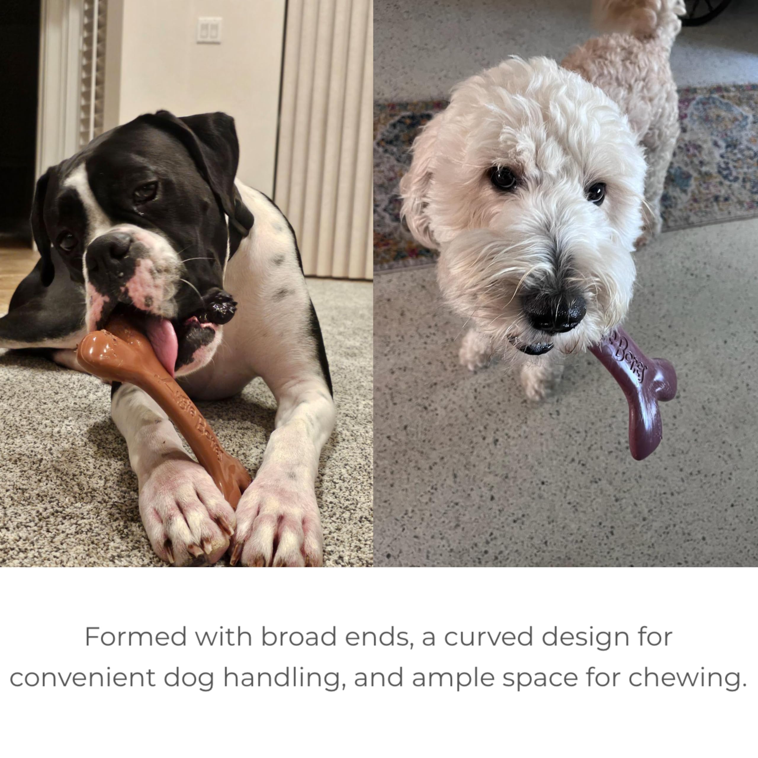 Augie Bones dog playtime enrichment supports engaging chews and mental stimulation