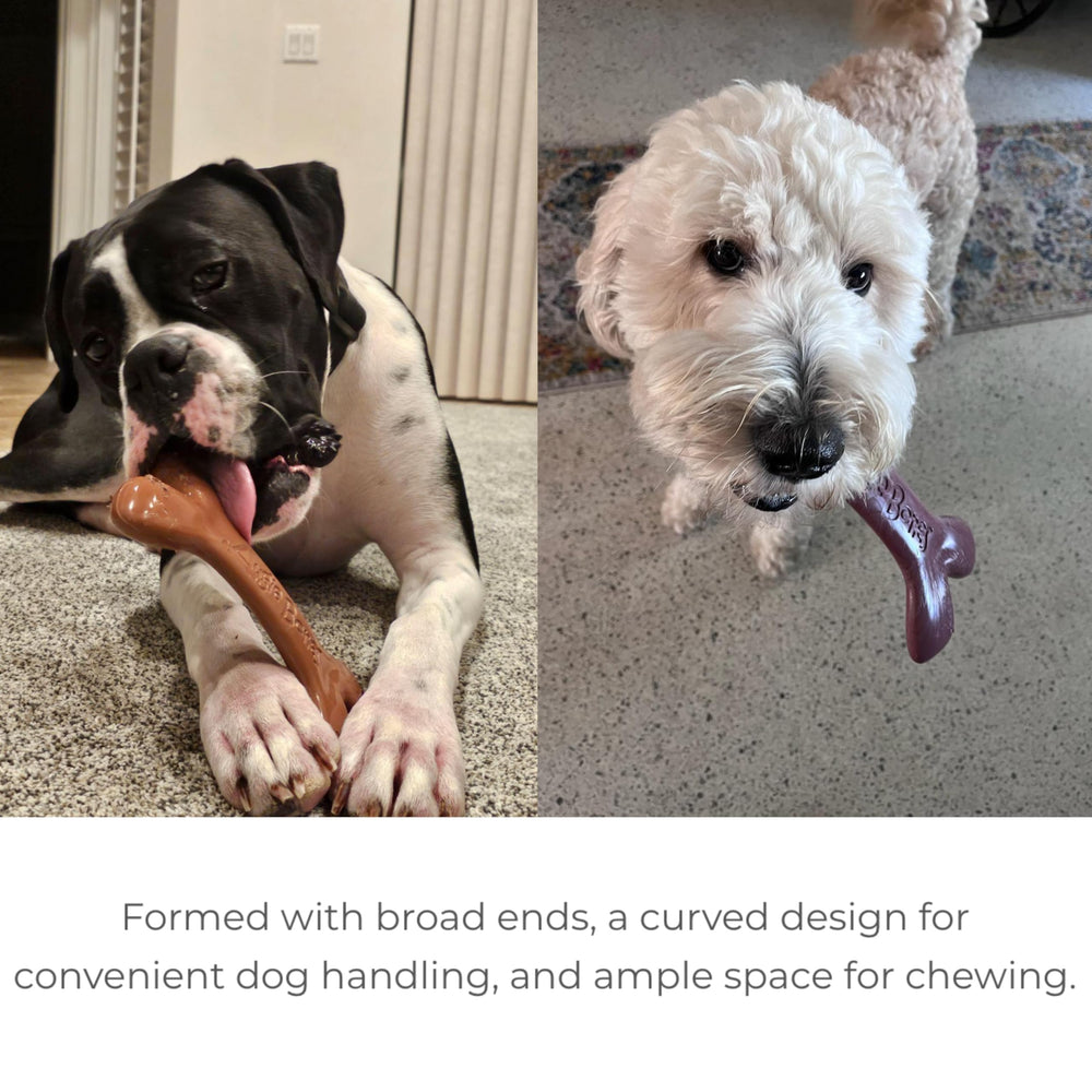 Augie Bones dog playtime enrichment supports engaging chews and mental stimulation