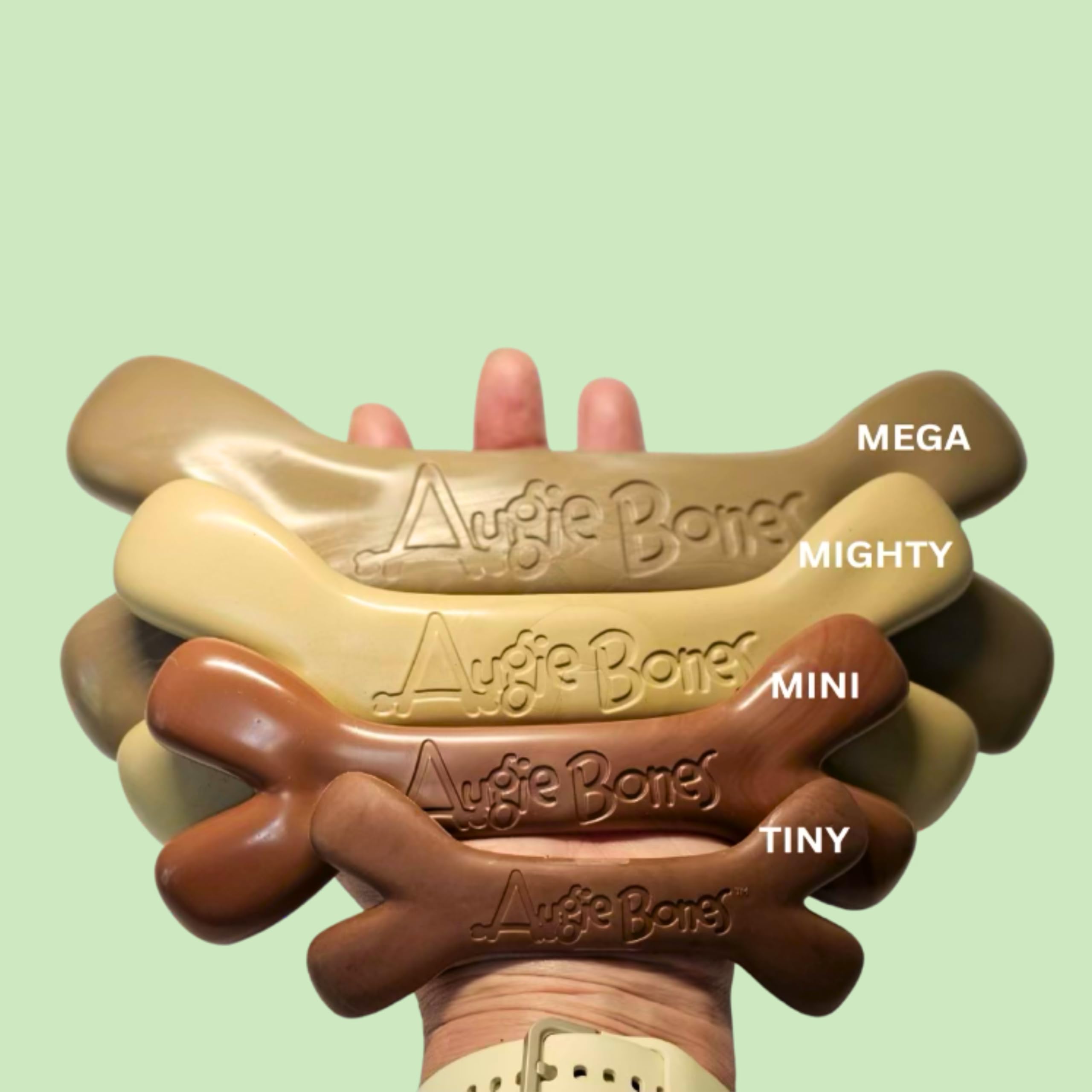 Augie Bones Mega dog chew endures vigorous chewing for longer sessions