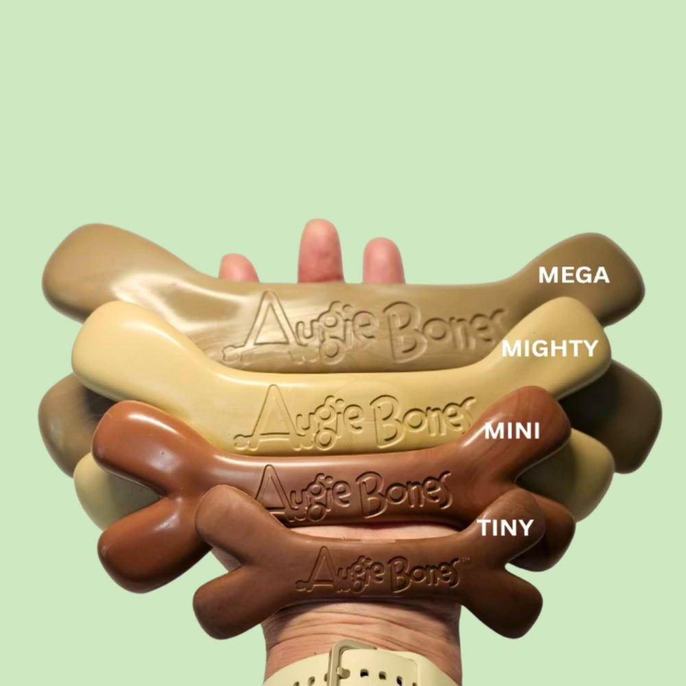 Augie Bones Mega dog chew endures vigorous chewing for longer sessions