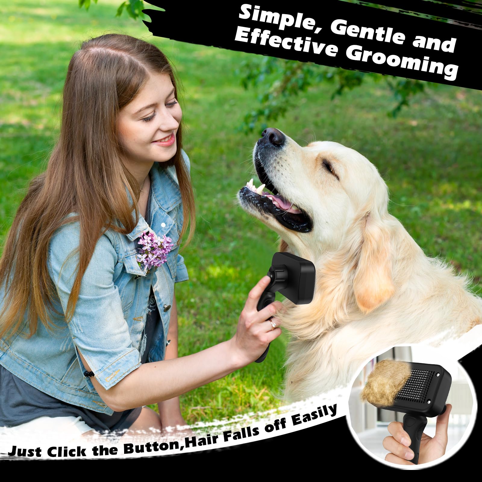 Augwind Pet coat care session helps achieve a smoother, shinier coat.