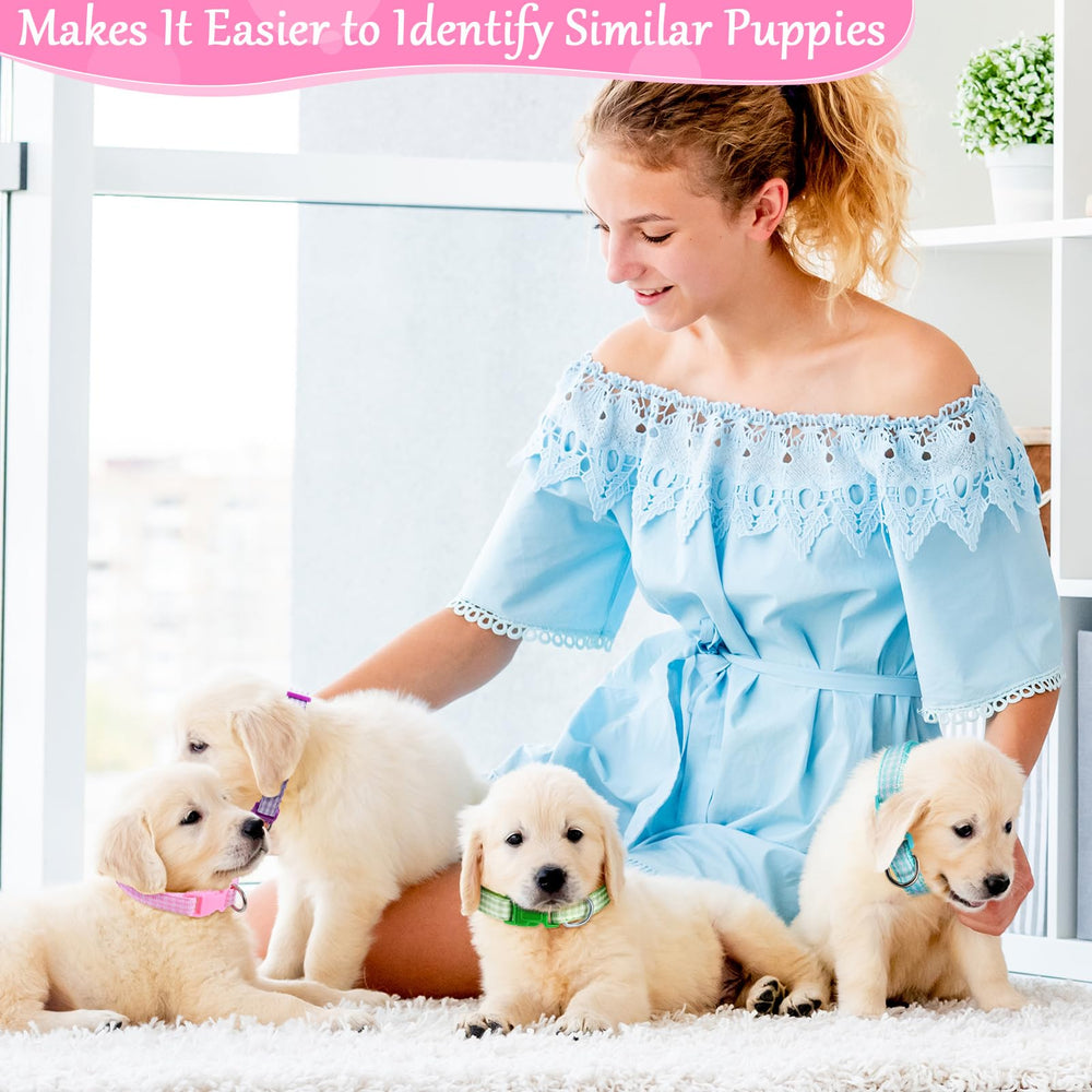 Auidy_6TXD kitten or small cat usage-friendly collar on a tiny pet.