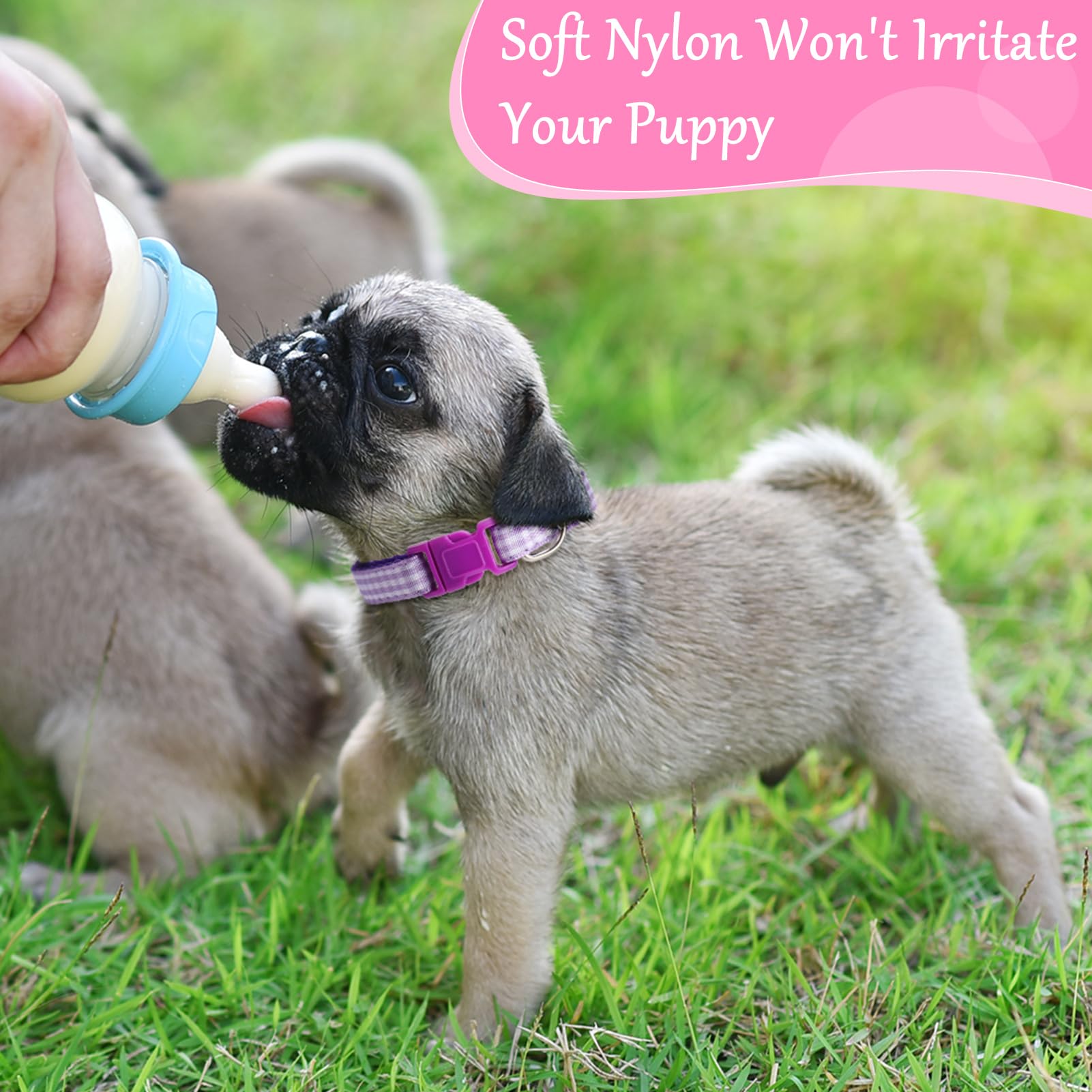 Auidy_6TXD small-size collar showing 17-26 cm range for newborn puppies.