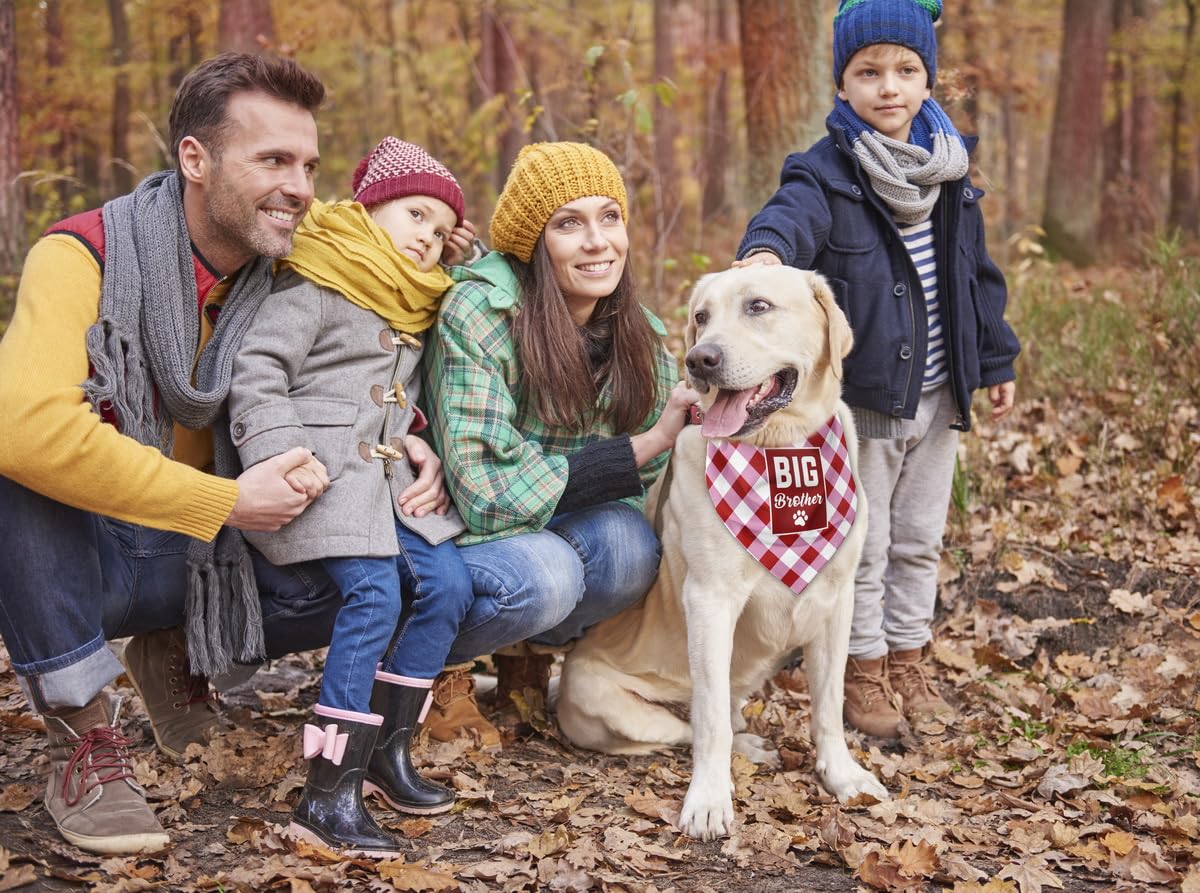 AUII JO DESIGN Big Brother Dog Bandana shown with easy hand-wash care