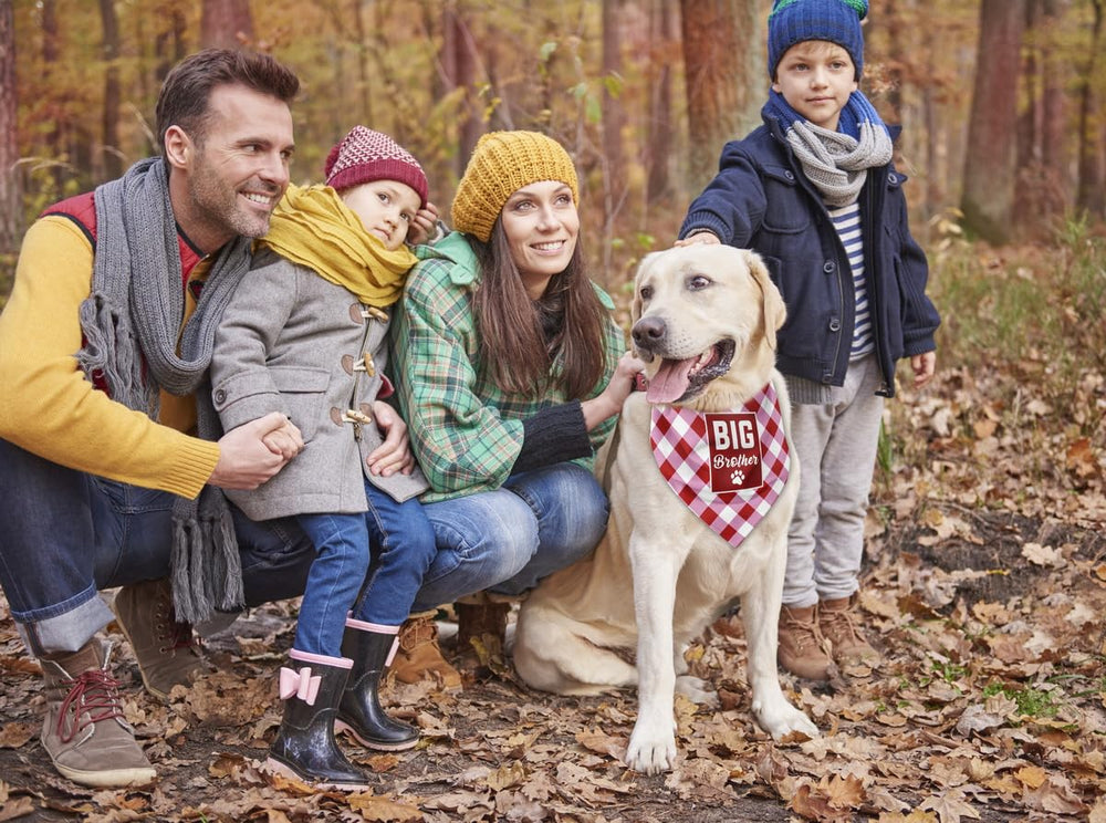 AUII JO DESIGN Big Brother Dog Bandana shown with easy hand-wash care