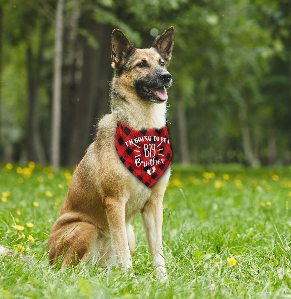 AUII JO DESIGN dog bandana on pet, perfect gift for dog lovers and new siblings