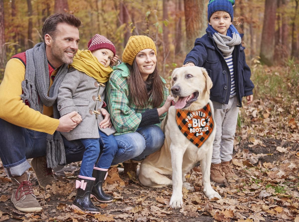 AUII JO DESIGN pet scarf gift-ready packaging for dog lovers