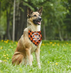 AUII JO DESIGN dog bandana triangle shape with adjustable fit