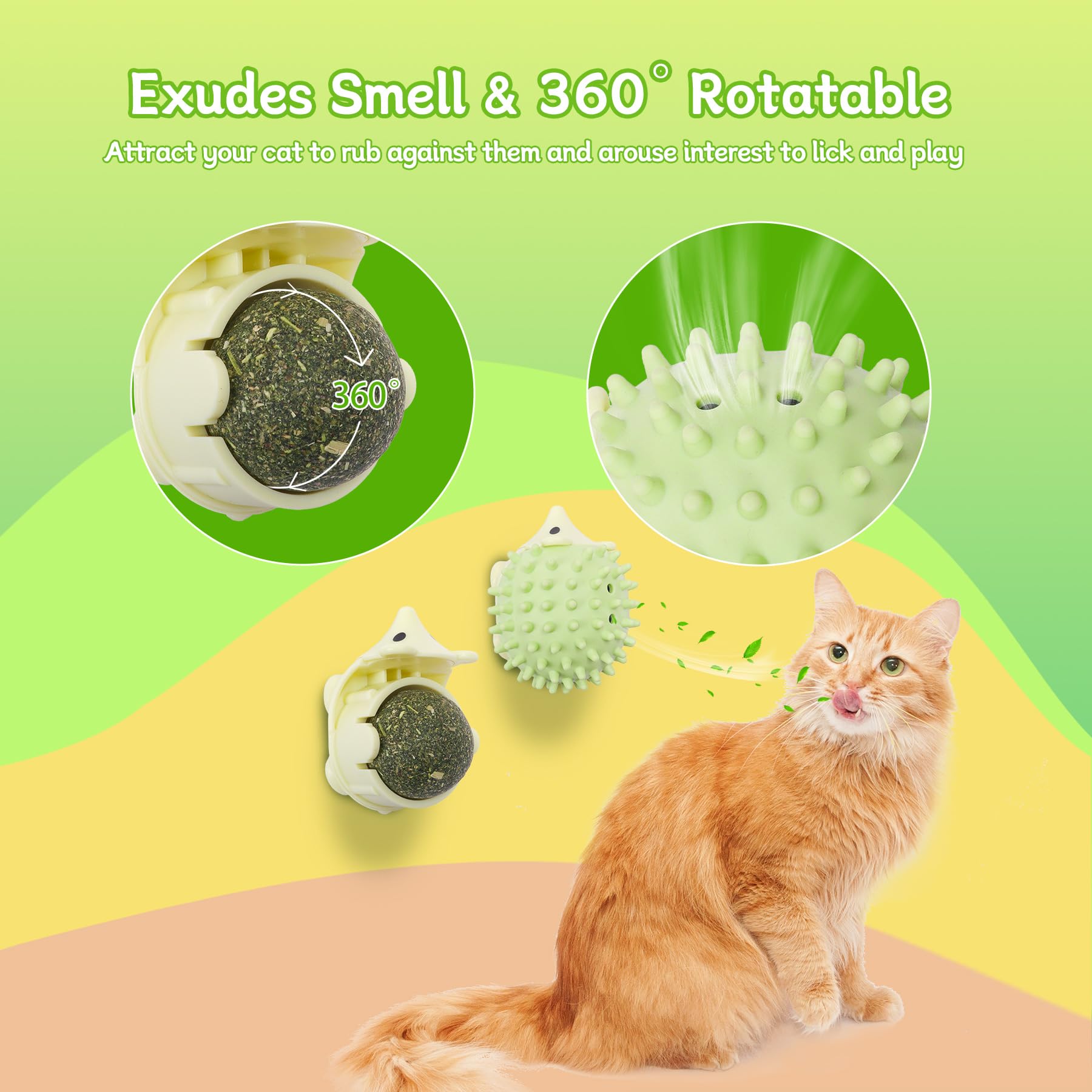 AUKSKY interchangeable balls offer variety for sensory play and grooming routines.