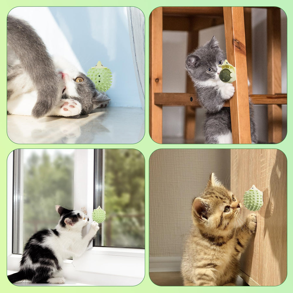 AUKSKY self-groomer kit encourages cats to rub and lick for comforting moments.