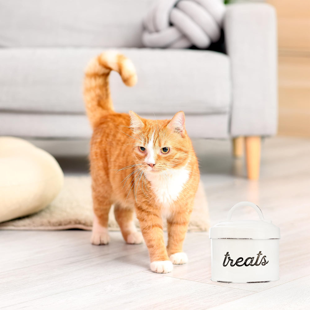 AuldHome Enamelware-cat-treat-container-capacity-1-75cups demonstrates practical storage for small pets.
