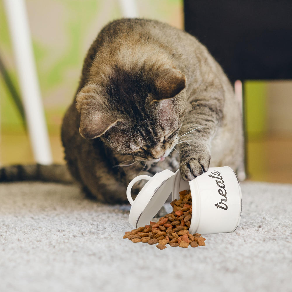 AuldHome Enamelware-cat-treat-container-packaging-display highlights kit-friendly design.