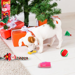 Auliand rope dog toy close-up for interactive tug