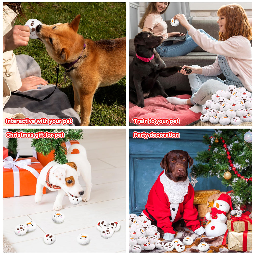 Auliand training-friendly ball squeaker teaches impulse control and rewarding play sessions.