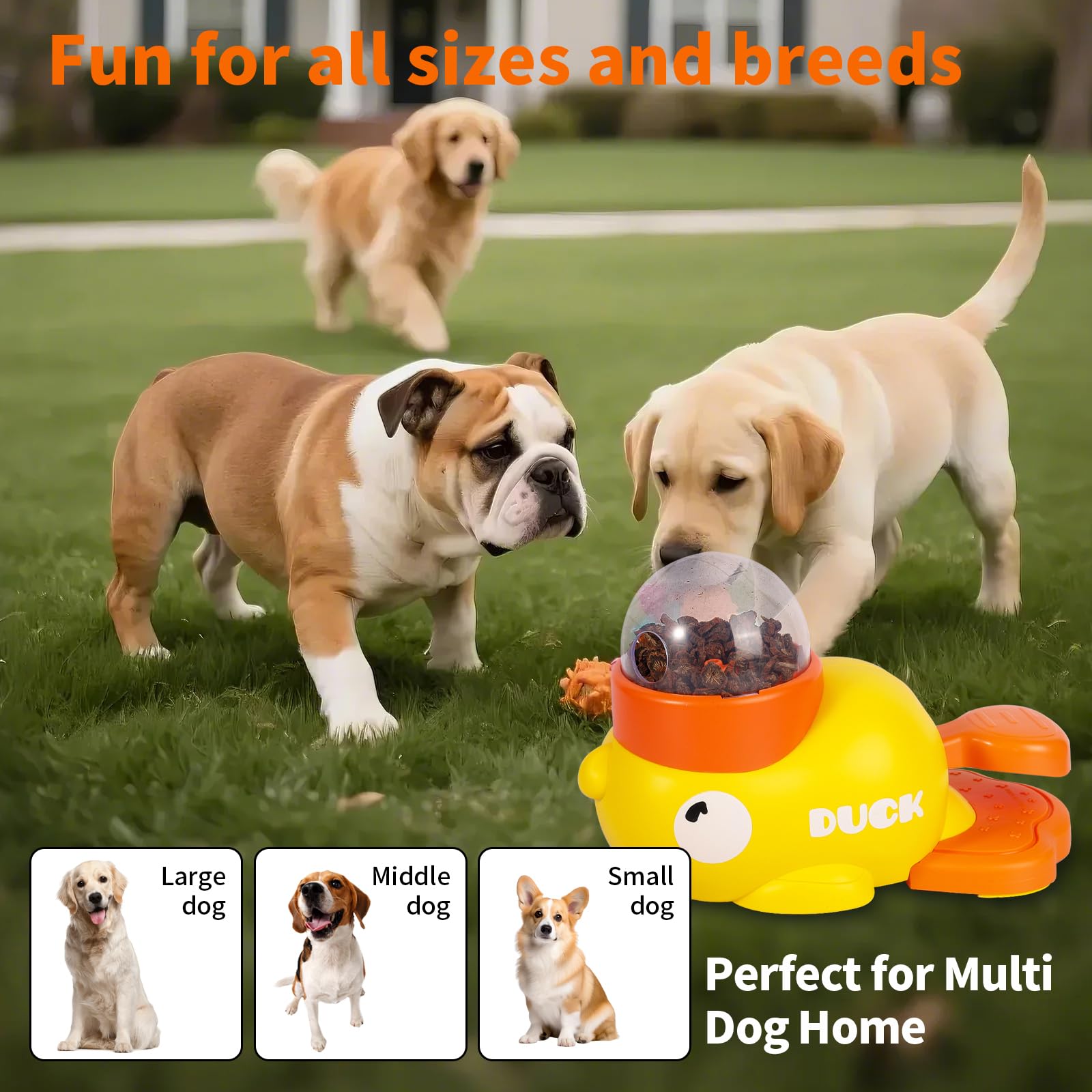 AULIDI gift-ready packaging makes this pet feeder a thoughtful gift