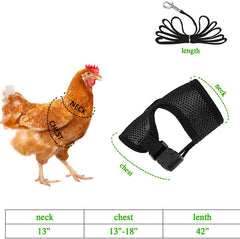 Aulock four-pcs chicken harness blue supports breathable training sessions outdoors.
