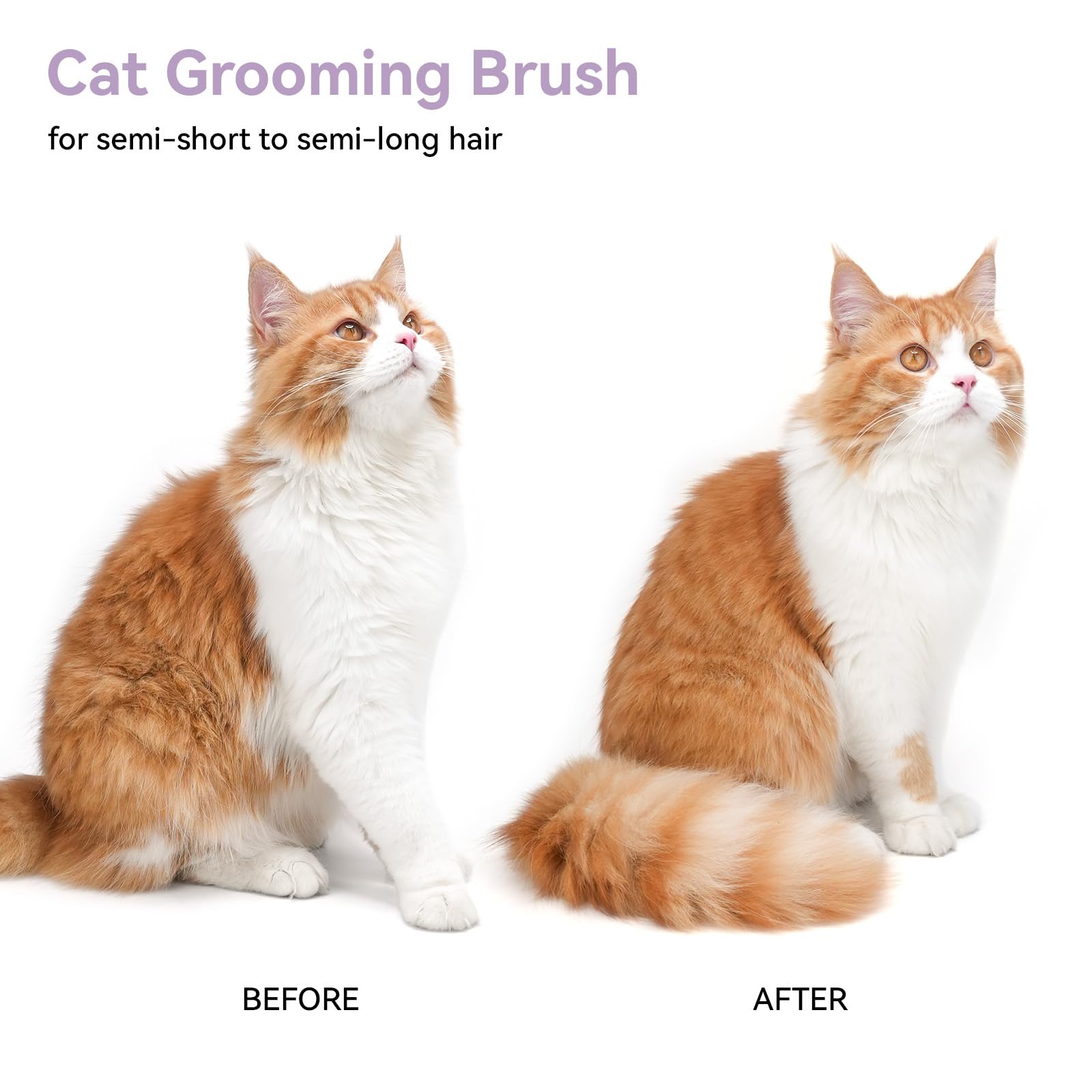 Aumuca durable design resists deformation during frequent grooming sessions.
