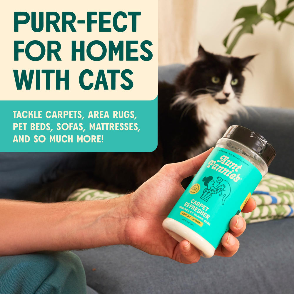 Aunt Fannie's Cat Carpet Refresher on an area rug refreshing fibers and odors.