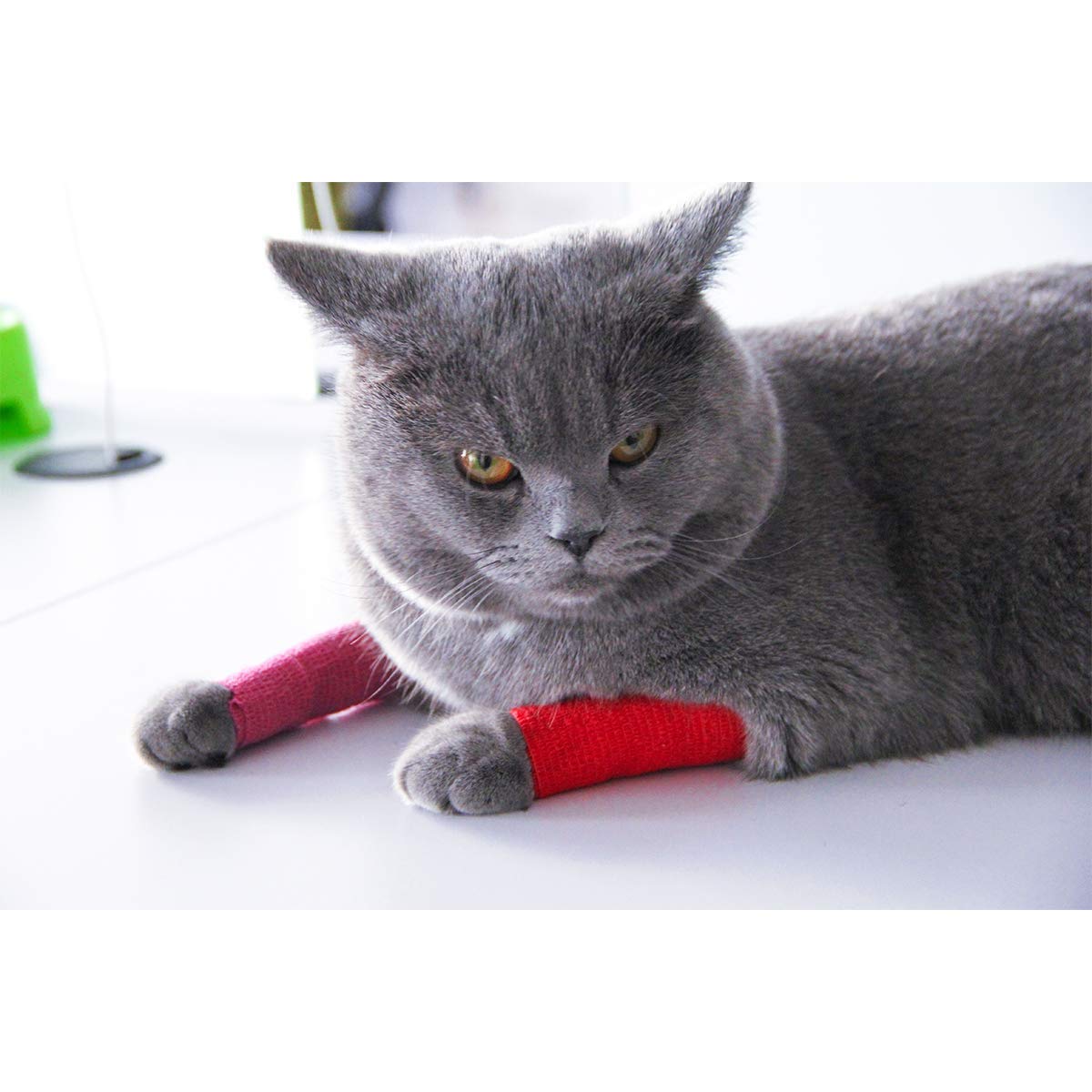 Aupcon Vet Wrap self-adhesive bandage sticks to itself for mess-free dressing.