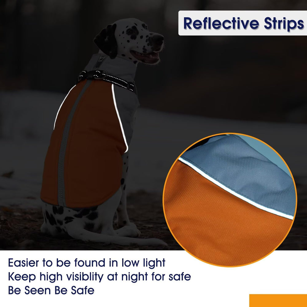 AuraPaw adjustable-buckle photograph highlights a customizable fit for different breeds and shapes.