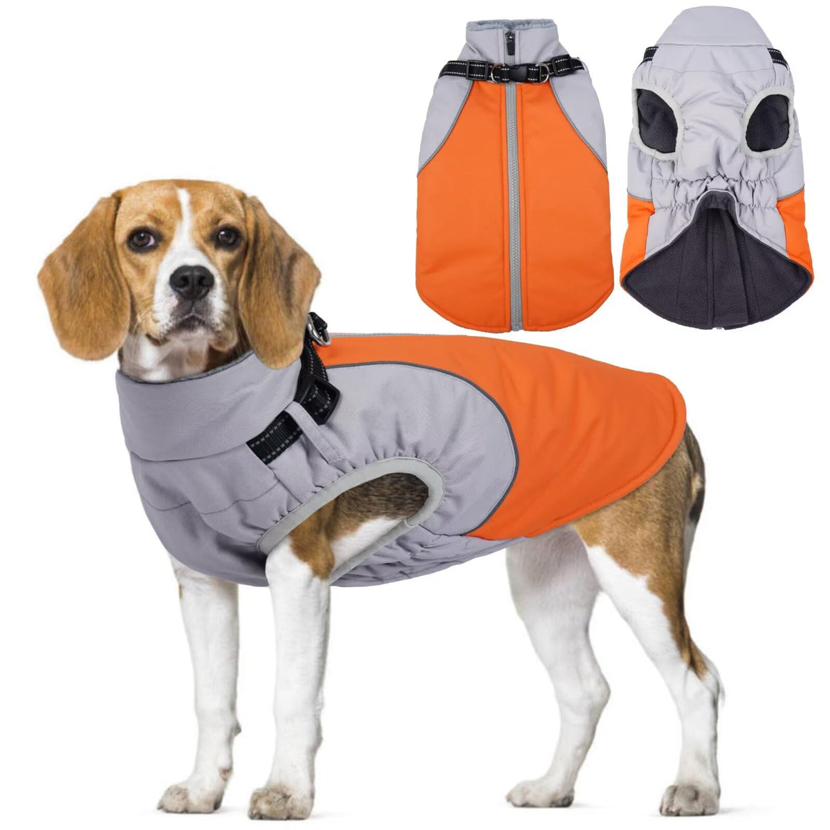 AuraPaw front view dog coat keeps your pup cozy on cold-weather walks.