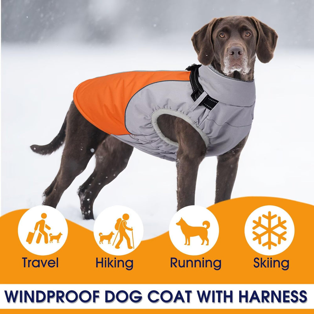 AuraPaw orange-winter-coat close-up showcases vibrant color option for high-visibility cold-weather wear.