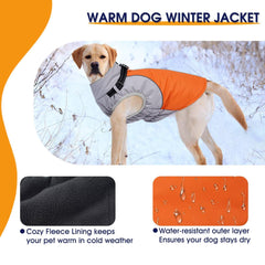 AuraPaw reflective-strips image emphasizes visibility during night walks for added safety.