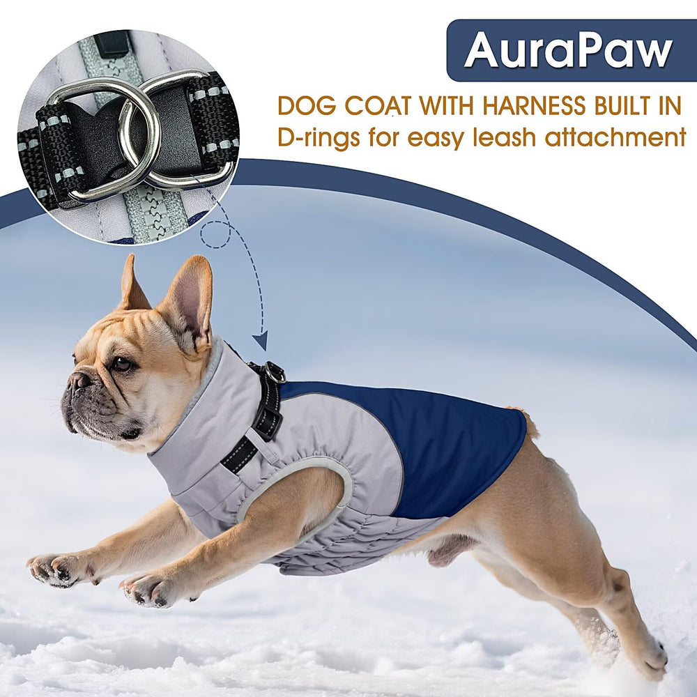AuraPaw harness-dual-d-rings blue coat highlights secure leash options.