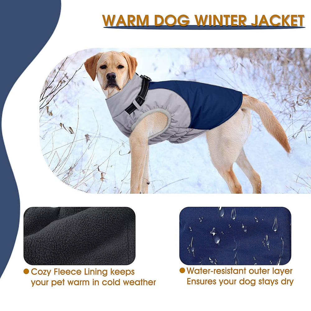 AuraPaw easy-on-off blue coat back-zipper supports quick dressing after play.