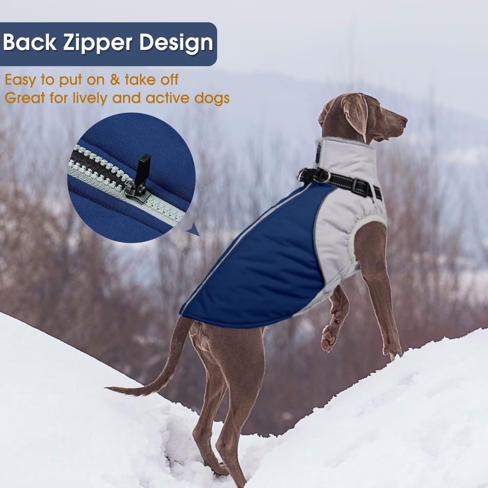 AuraPaw reflective strips blue coat increase visibility for safer night walks.