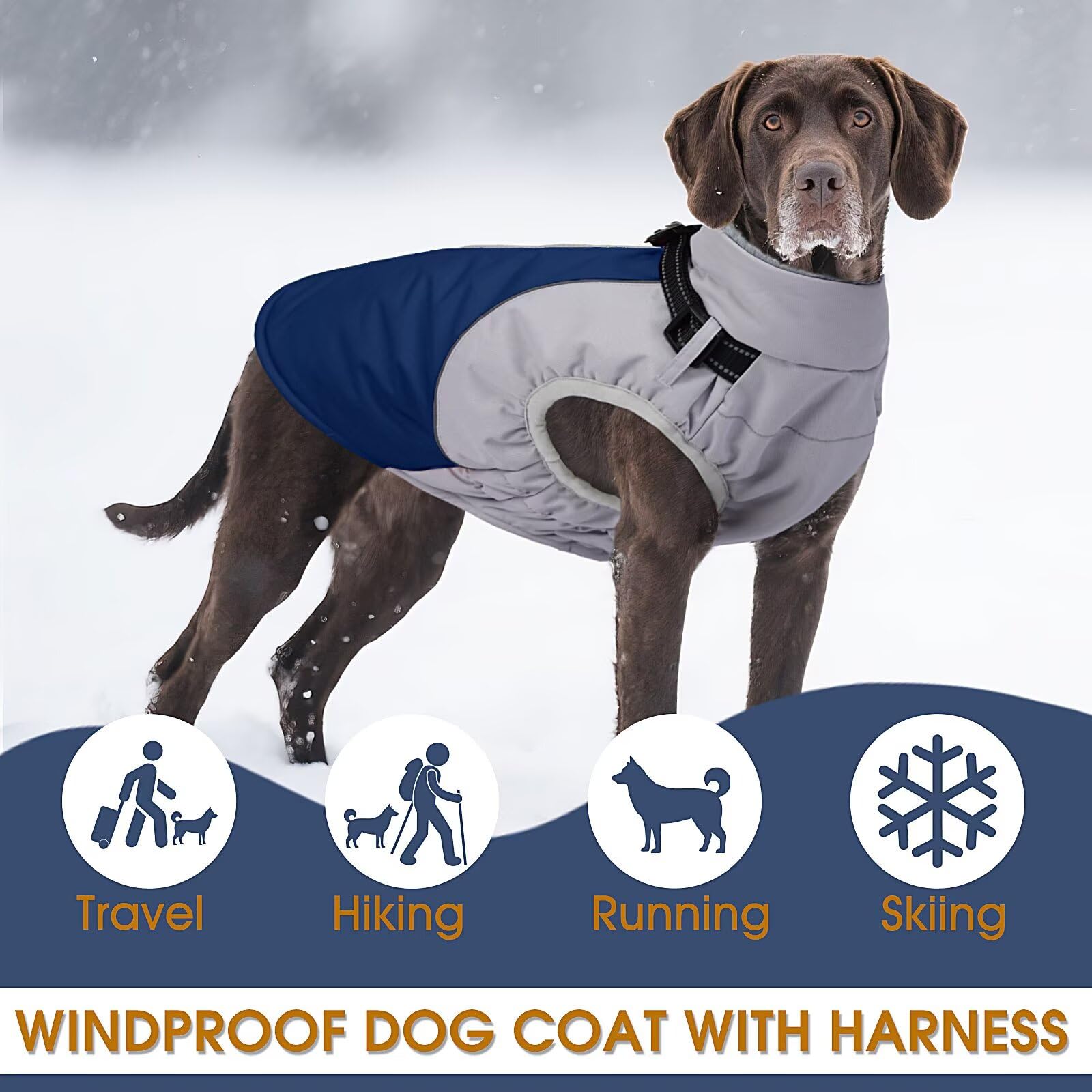 AuraPaw seven-size blue-orange coat fits a wide range of breeds and weights.