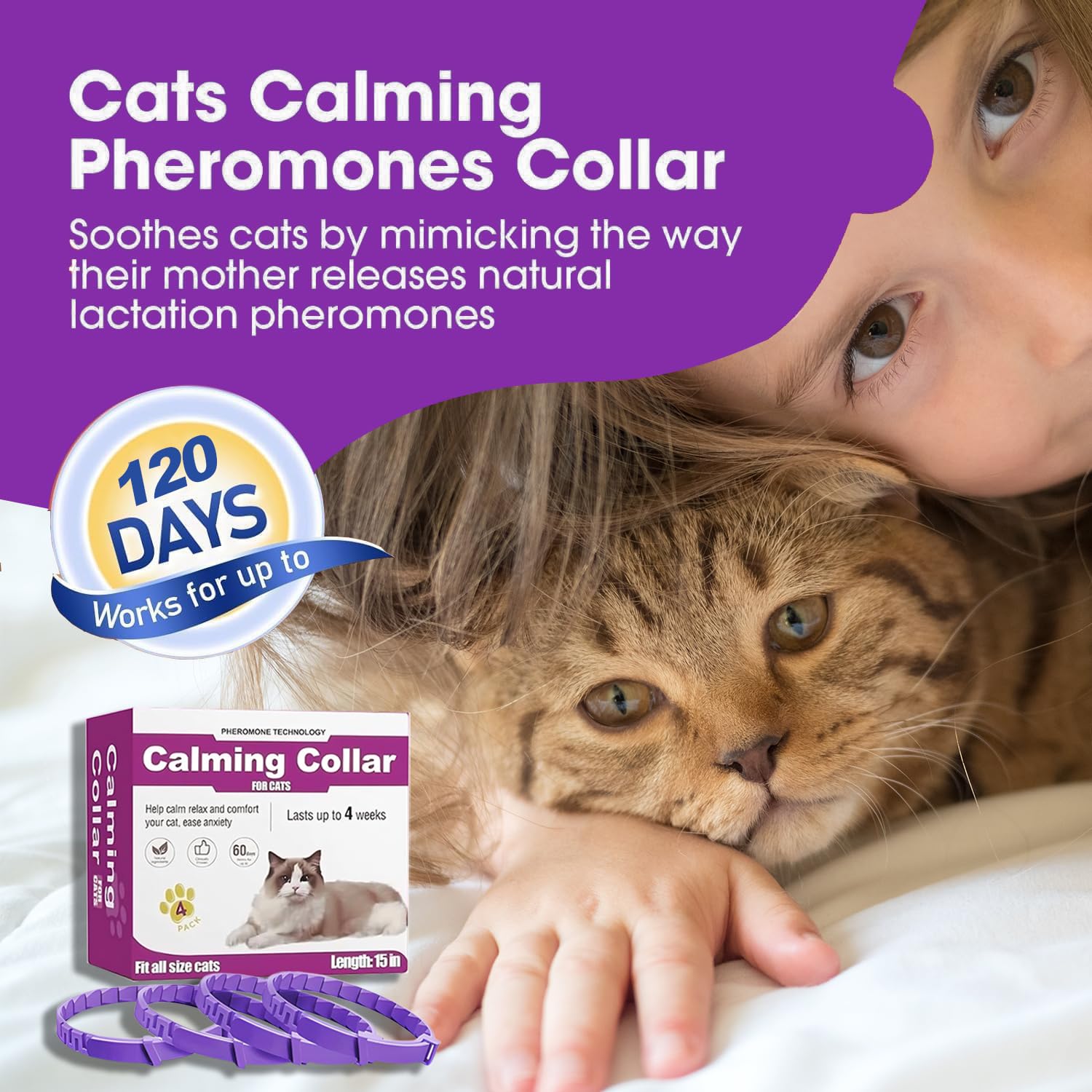 Aurevoen cat collar cat wearing closeup showing calm appearance and fit